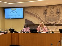 Acordada la comparecencia de responsables y expertos en la Comisión de Estudio para el Análisis de la Gestión y Actividad de la Fundación Ciudad del Envase y el Embalaje