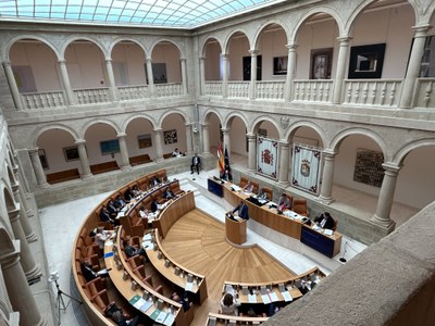 Vista general Hemiciclo