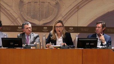 Comparecencia de Belinda León