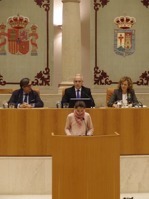 Lectura de la Constitución