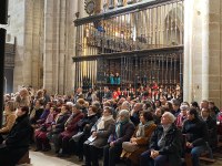 Clausura del Año Jubilar Calceatense