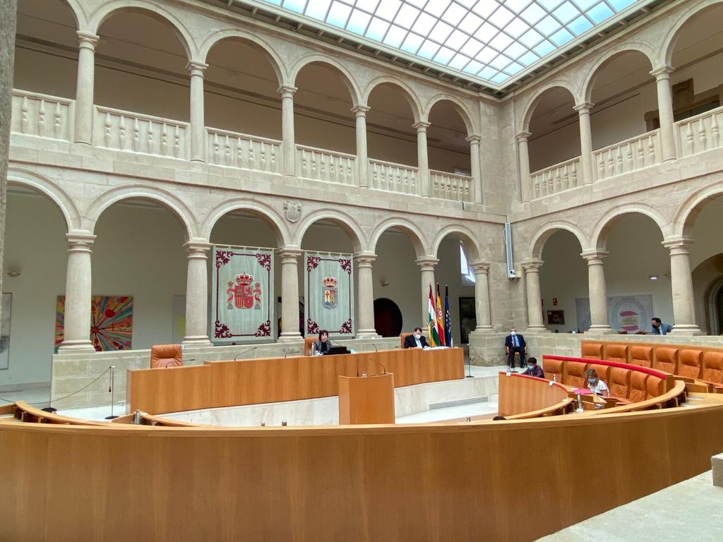 Comisión de estudio para la recuperación económica y social tras la crisis de la COVID-19 en la comunidad. 28/05/2020