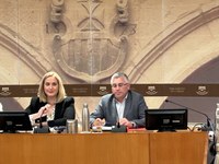 Comparecencia de José Ángel Lacalzada ante la Comisión de la Ciudad del Envase y el Embalaje