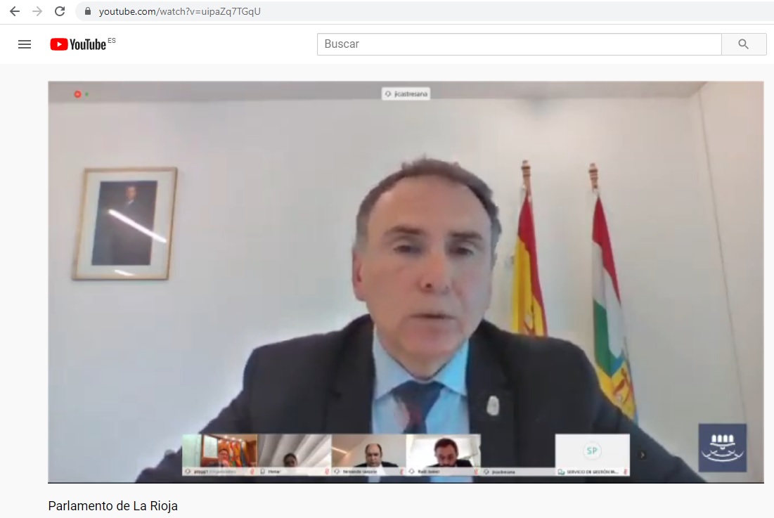Comparecencia telematica del Consejero de Desarrollo Autonómico