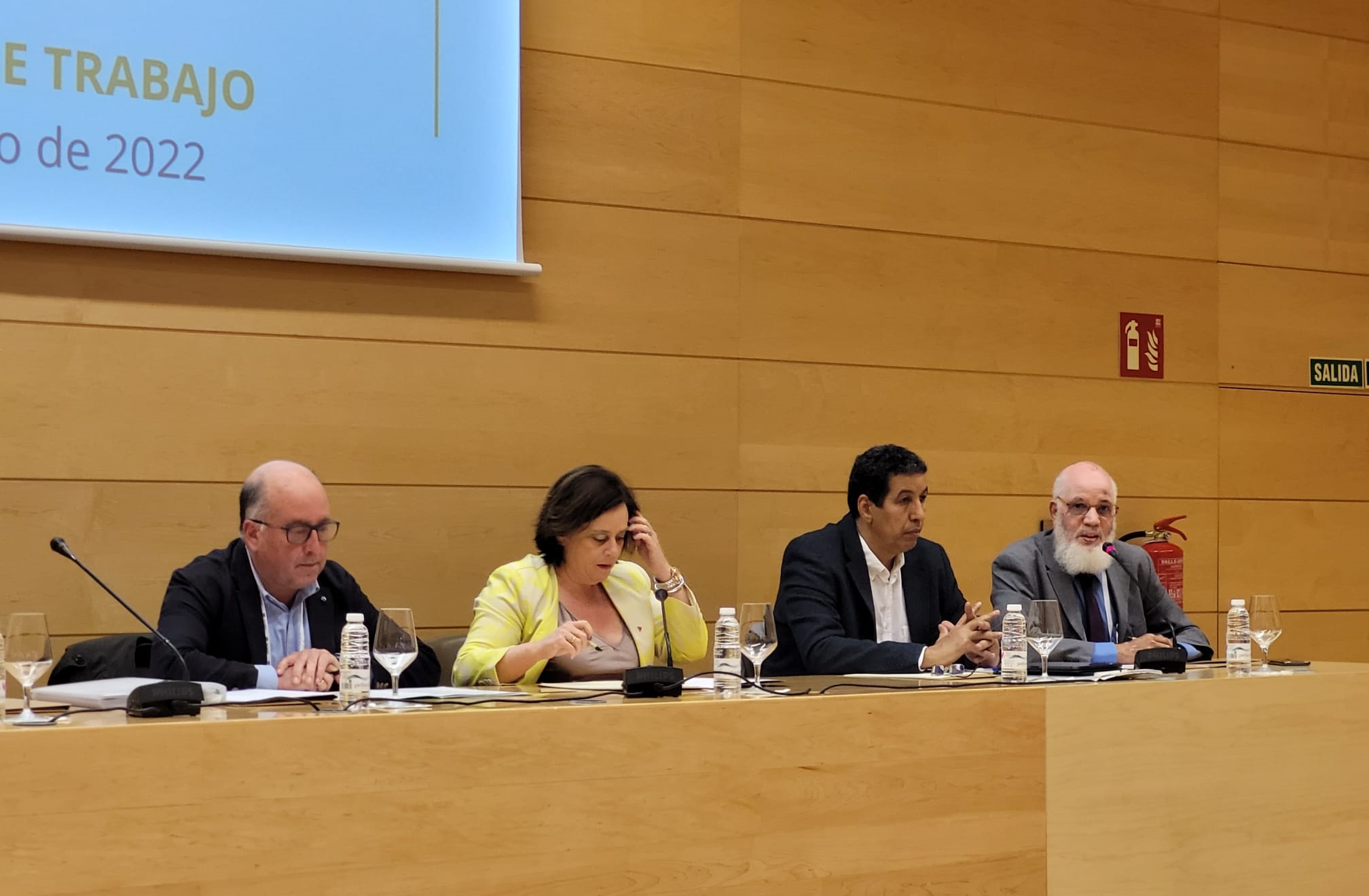 Jornada de trabajo de la XXVI Conferencia Intergrupos Parlamentarios "Paz y Libertad para el pueblo saharaui"