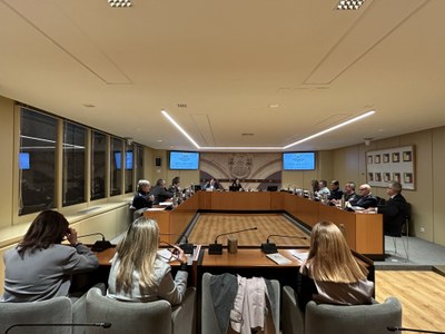 Reunió de la Comisión Institucional, Desarrollo Estatutario y Régimen de Administración Pública