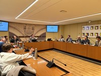 Creación de la Ponencia sobre Paz y Libertad en el Sáhara Occidental