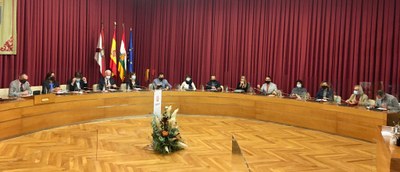 Salón de plenos Logroño