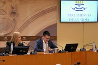 El doctor en Economía José Torres Remírez comparece ante la Comisión de la Ciudad del Envase y el Embalaje