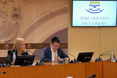 Comparecencia de José Torres Remírez