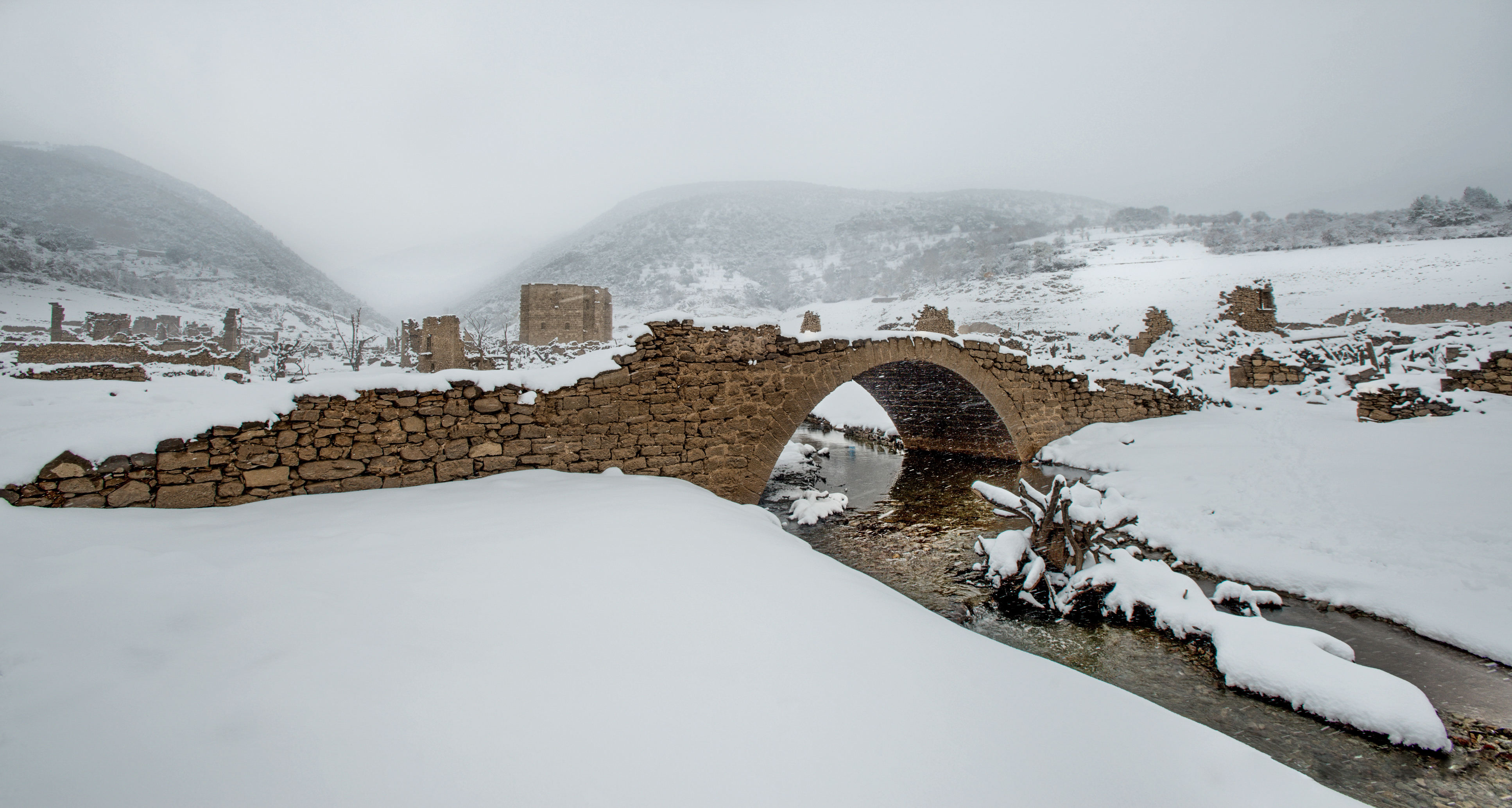 Segundo Premio: "Blanca y Vieja Mansilla" de Carmelo Betolaza