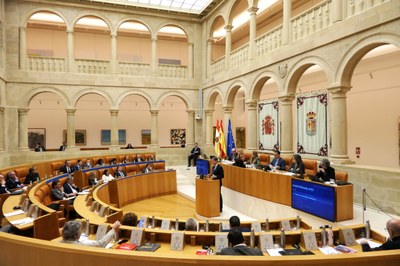 Último Pleno del año