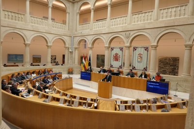 Pleno extraordinario