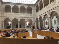 El Pleno del Parlamento aprueba 253 propuestas de resolución