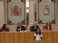 Lectura de la Constitución