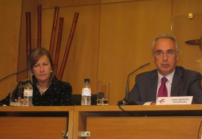 Jornada Convención de la ONU del CERMI