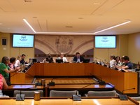 El secretario de Estado de Juventud comparece en la Comisión que estudia el impacto de las nuevas tecnologías en la infancia y la adolescencia