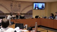 Expertas de la consultora KPMG comparecen en la Comisión de la Ciudad del Envase y el Embalaje