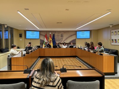 Comisión de Estudio sobre el Uso de la Tecnología