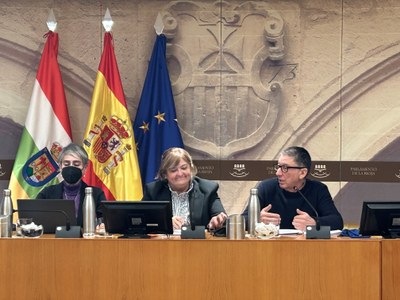 Comisión de Estudio para Abordar el Impacto del Uso de la Tecnología en la Infancia y la Adolescencia