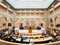 Gonzalo Capellán comparece ante el Pleno para informar sobre la línea Tauste-Júndiz