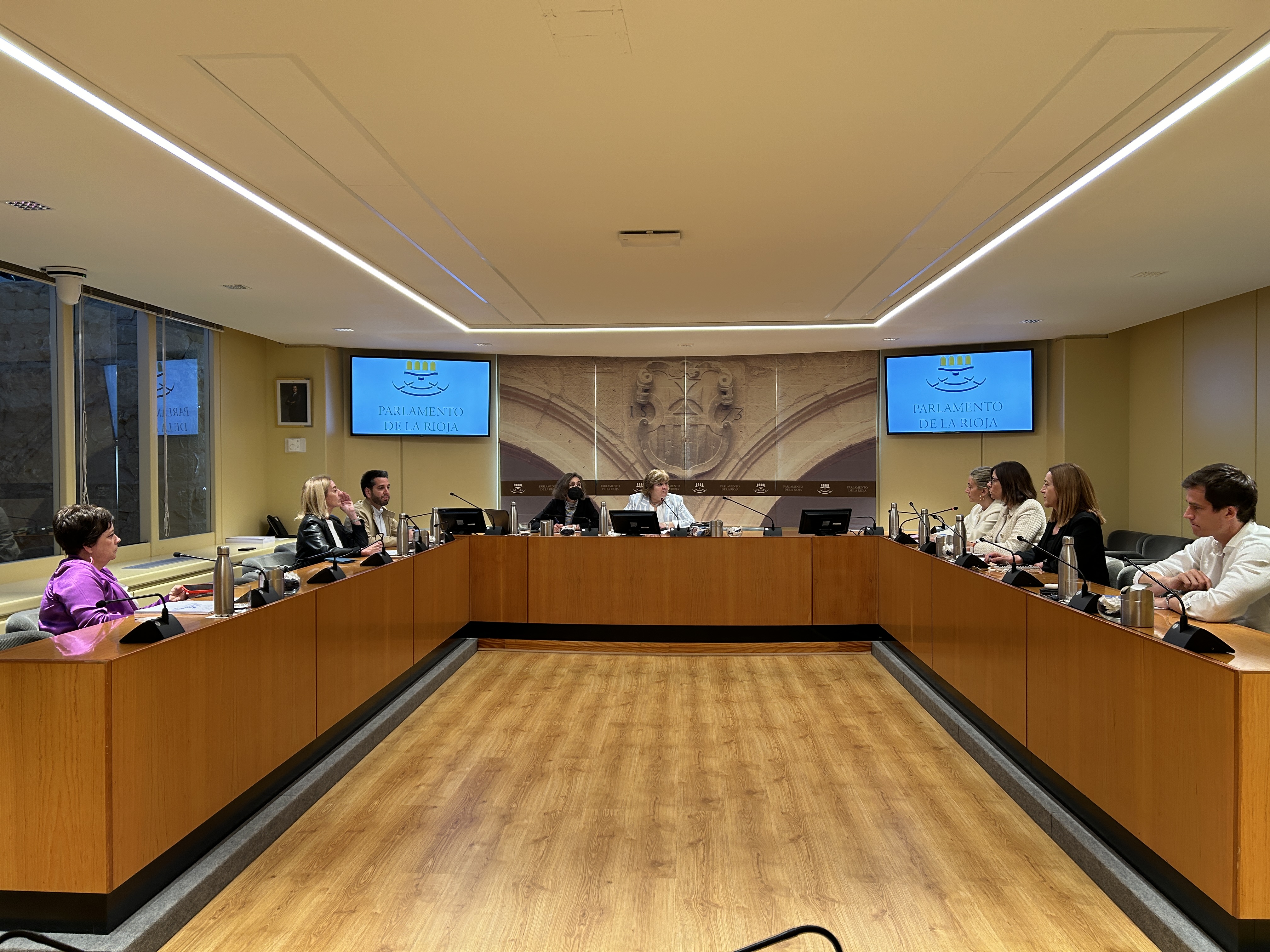 Comisión de Estudio sobre el uso de la tecnología