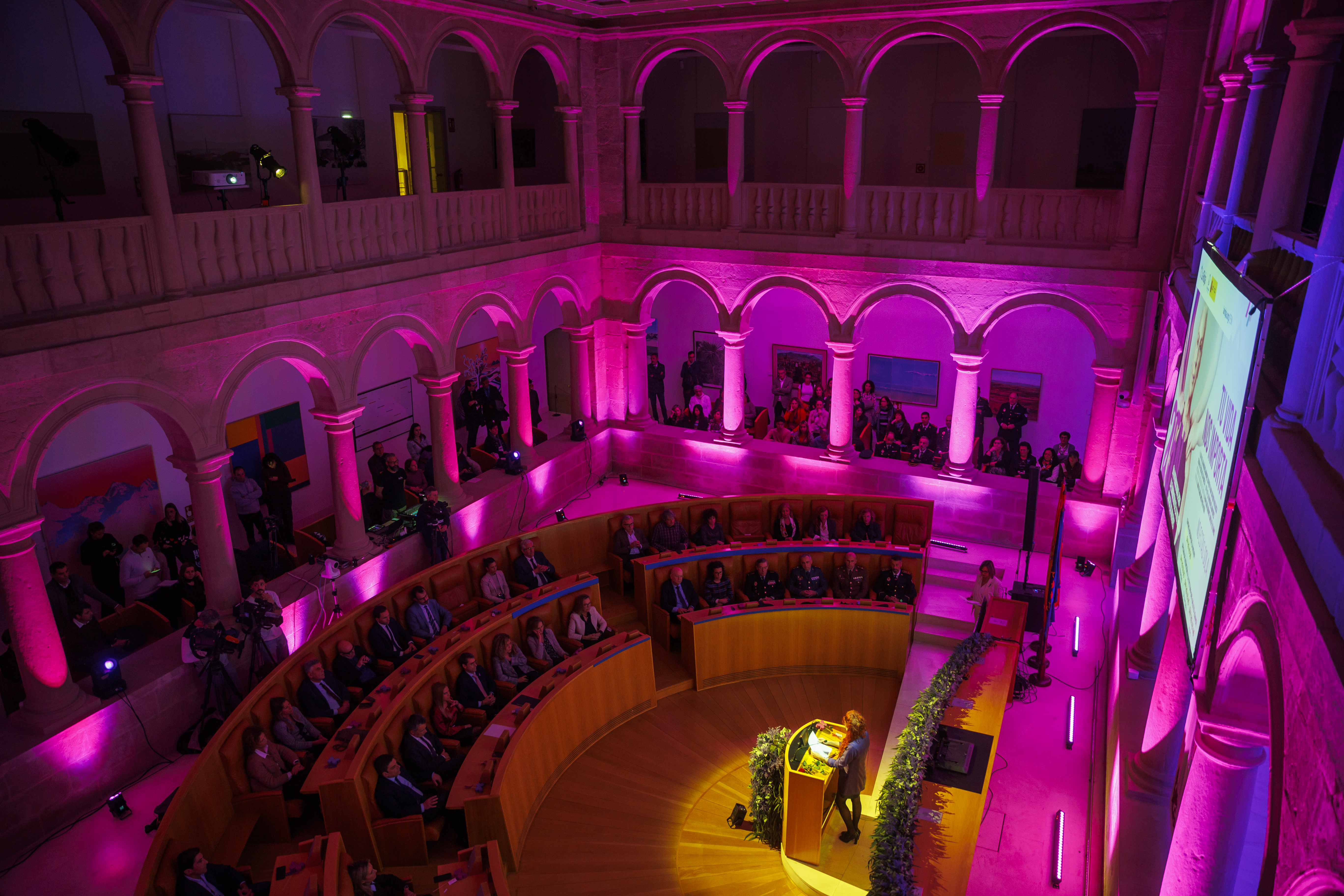 Día Internacional de la Eliminación de la Violencia contra la Mujer