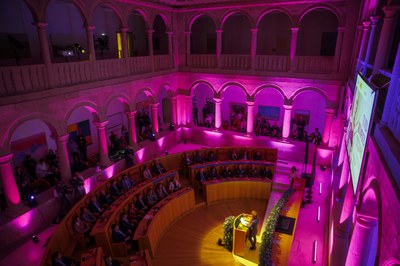 Día Internacional de la Eliminación de la Violencia contra la Mujer