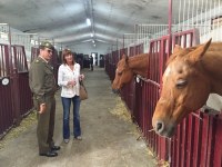 La Presidenta visita el Centro Deportivo Sociocultural Militar "Hípica de Logroño"