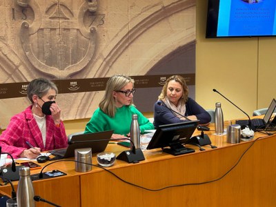 Comparecencia de María Milagro Sáez, de ARAD