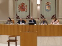 Diputados por un día de Aldeas Infantiles