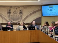 María Martín comparece ante la Comisión de Salud y Políticas Sociales