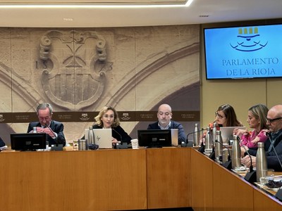 Comparecencia de María Martín