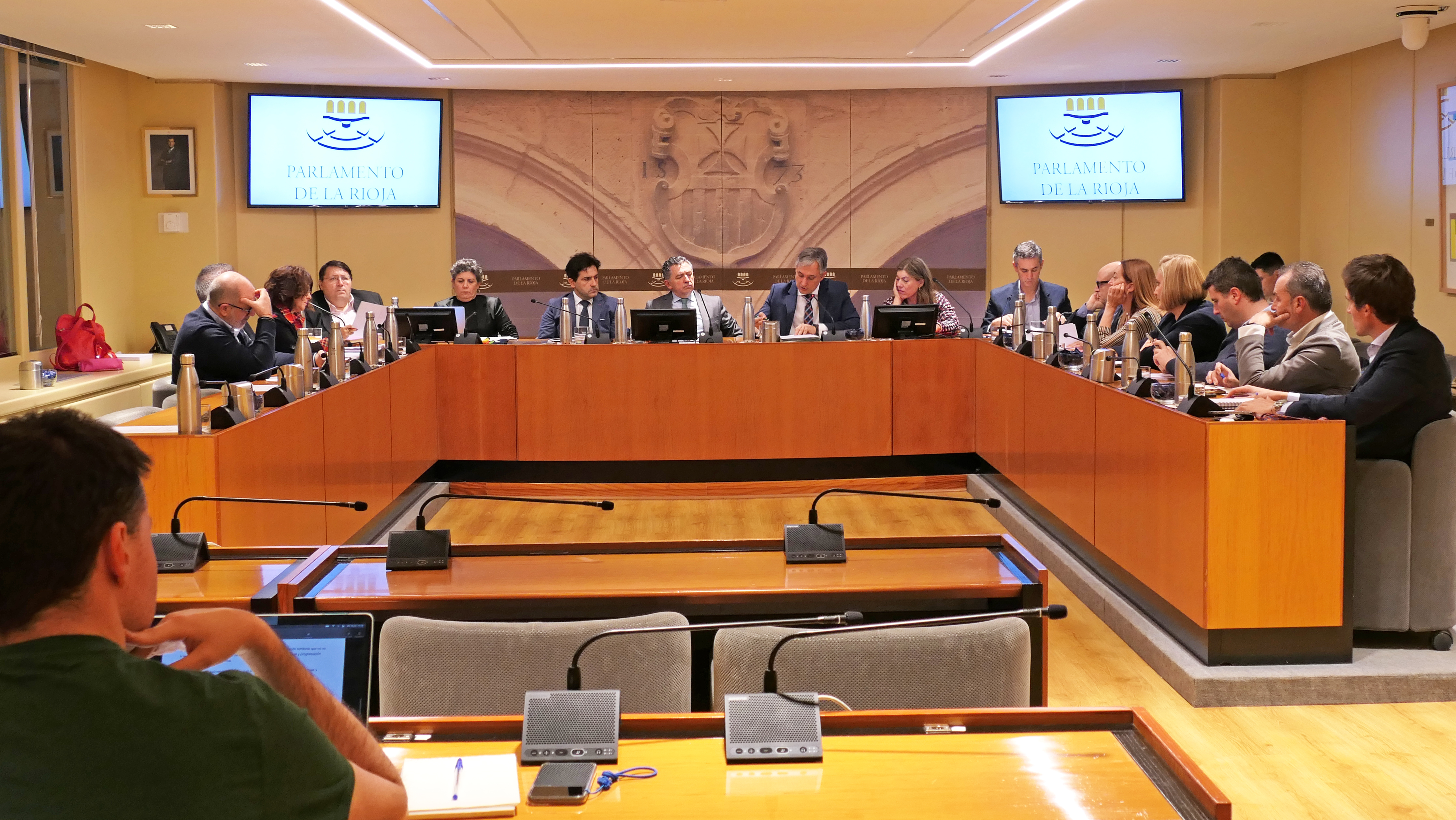 Comparecencia de José Luis Pérez Pastor