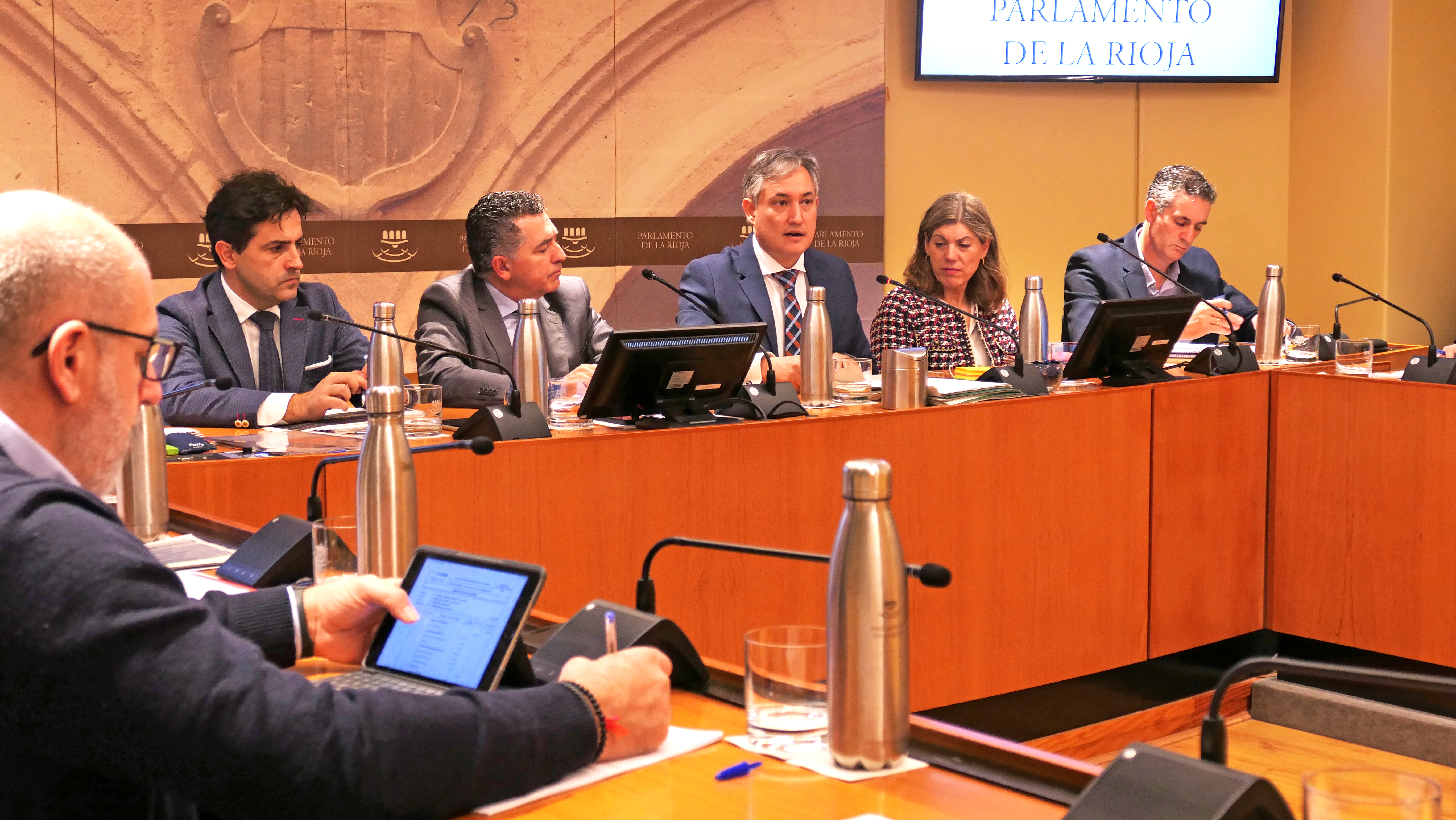 Comparecencia de José Luis Pérez Pastor