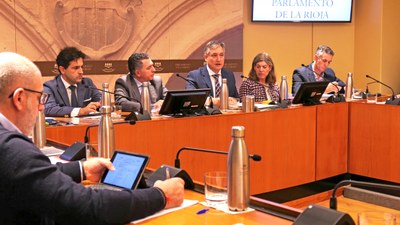 Comparecencia de José Luis Pérez Pastor