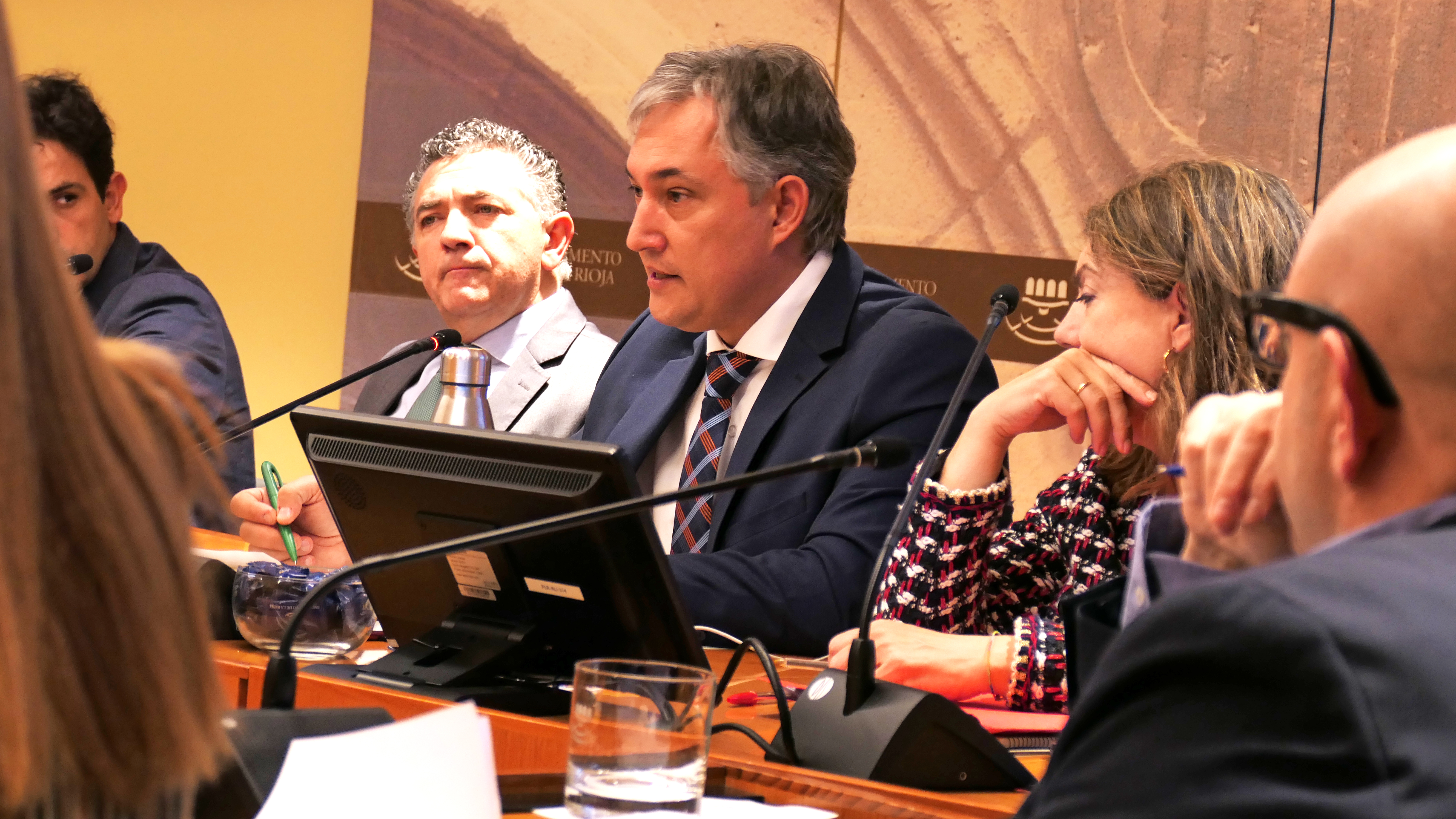 Comparecencia de José Luis Pérez Pastor