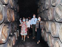 Visita a La Rioja de SSMM los Reyes