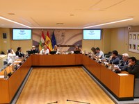 Acordado el orden del día de la próxima sesión plenaria 