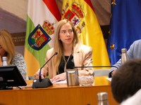 Acordado el orden del día de la próxima sesión plenaria