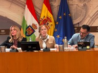 Acordado el orden del día de la próxima sesión plenaria