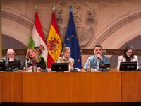 Reunión de la Junta de Portavoces