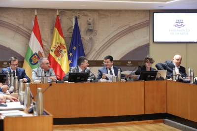 Comparecencia de Alfonso Domínguez ante la Comisión de Presupuestos