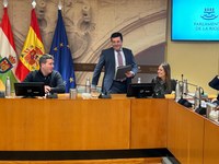 Alfonso Domínguez comparece en la Comisión Institucional, Desarrollo Estatutario y Régimen de Administración Pública