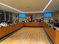 Alfonso Domínguez ha presentado el Plan Anual de Publicidad Institucional en el Parlamento