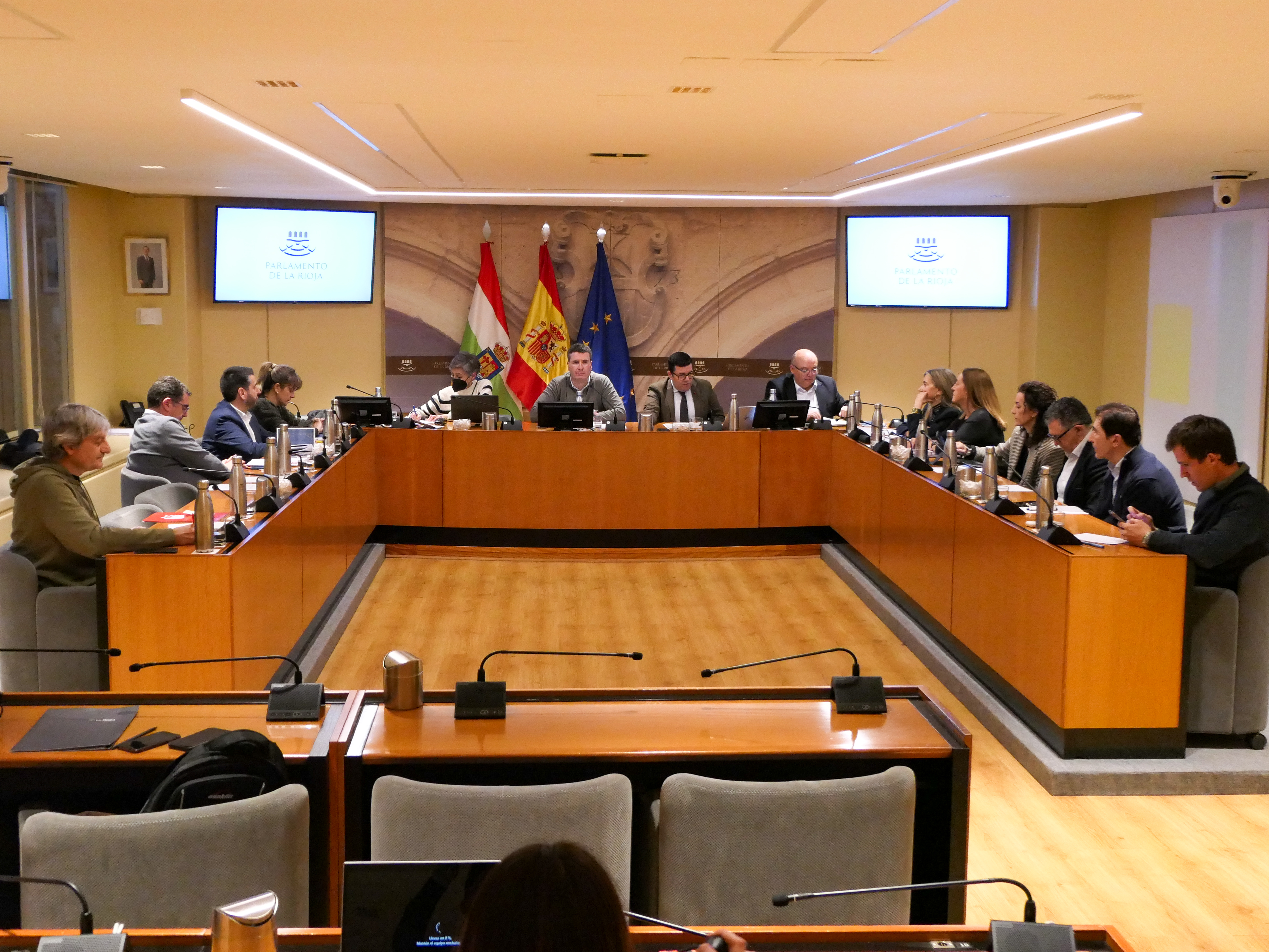 Comparecencia de Alfonso Domínguez 