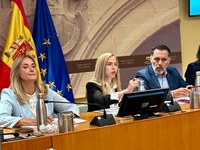 Ampliado al 19 de octubre el plazo de presentación de enmiendas a la totalidad a los proyectos de Ley de Presupuestos Generales 