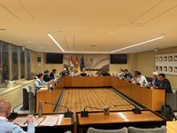 Aprobado el orden del día de la próxima sesión plenaria