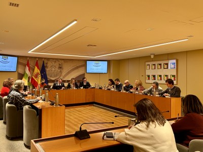 Comparecencia de la consejera Belinda León