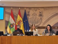 Carlos Fuentes y Rocío Coletes informan sobre el área de museos en la Comisión para analizar la situación de la cultura en La Rioja